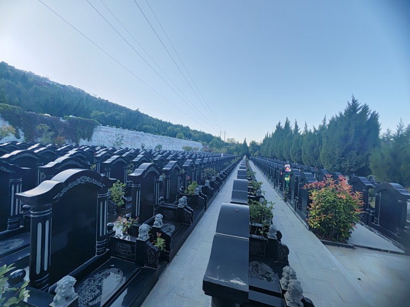 2026新《殡葬管理条例》保障群众基本殡葬服务方面作了哪些规定？